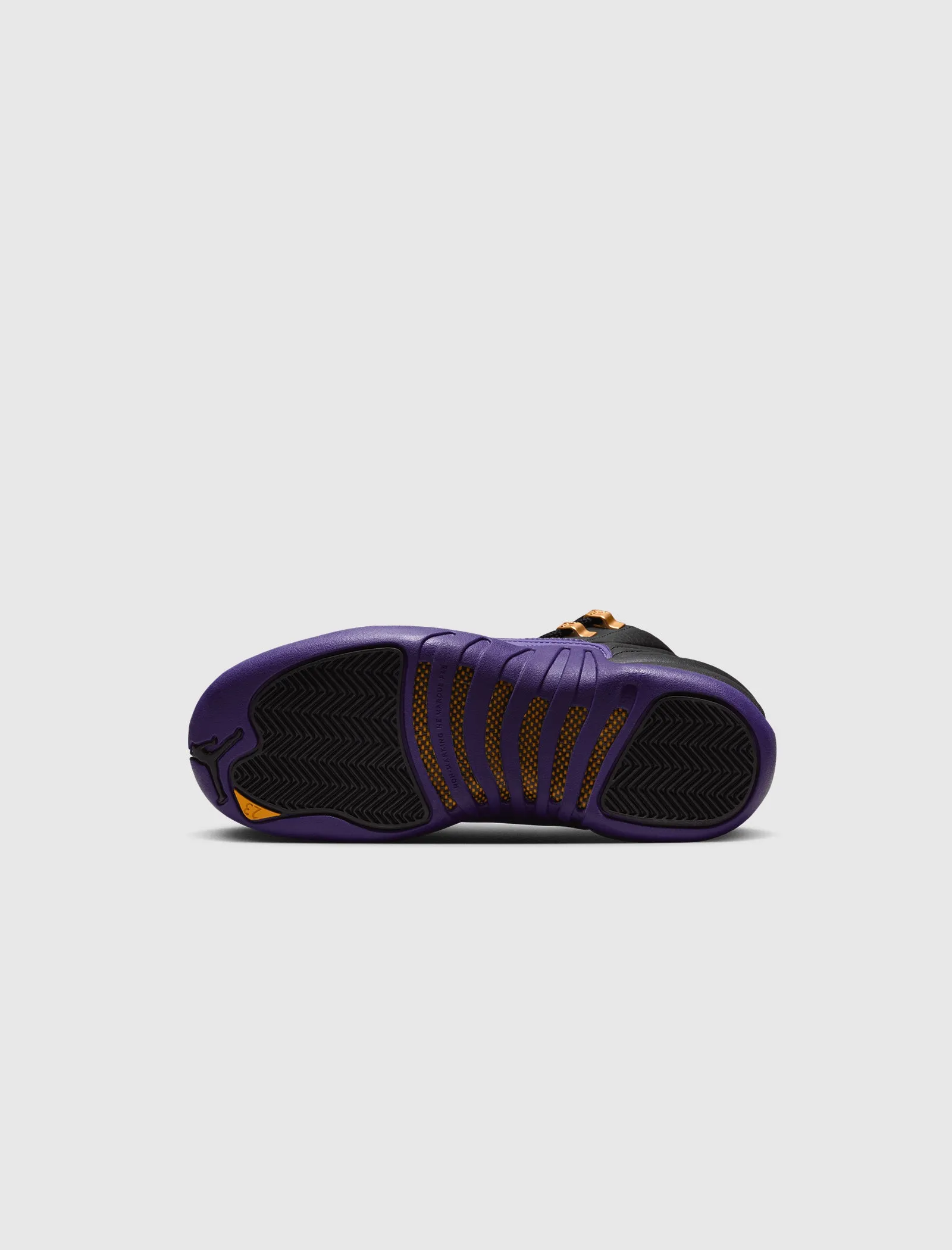 AIR JORDAN 12 RETRO "FIELD PURPLE" GS